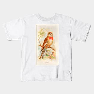 Linnet Kids T-Shirt